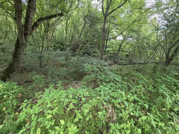490 Rocky Rd, Pikeville, KY 41501
