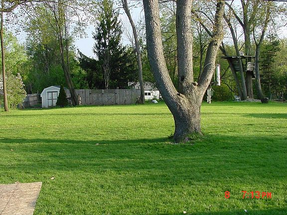 Beautiful Backyard