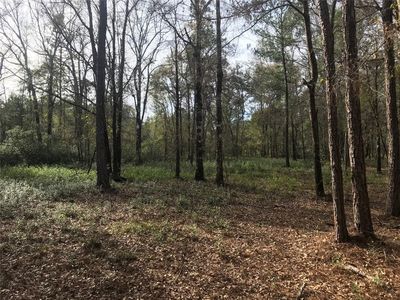 576363 Lessie Rd, Hilliard, FL, 32046