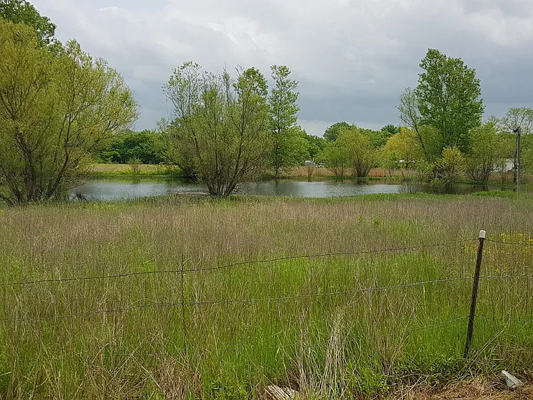 10325 County Road 470 — Photo 12