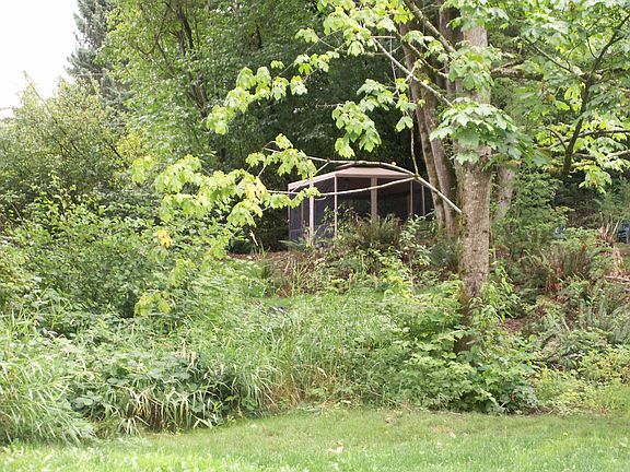 Upper part of front yard