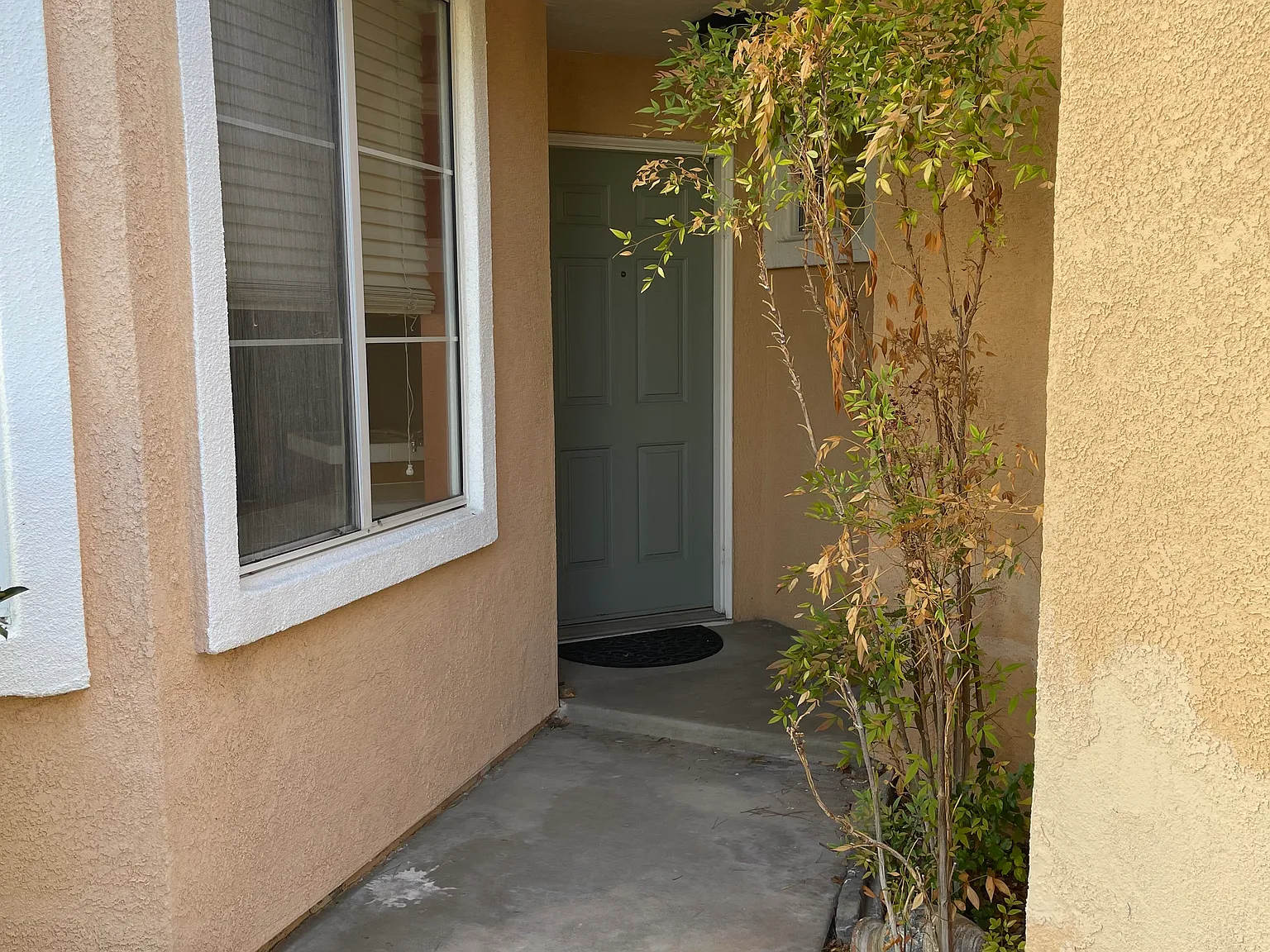 2 bed, 1466 sqft, $2,600 — Photo 2