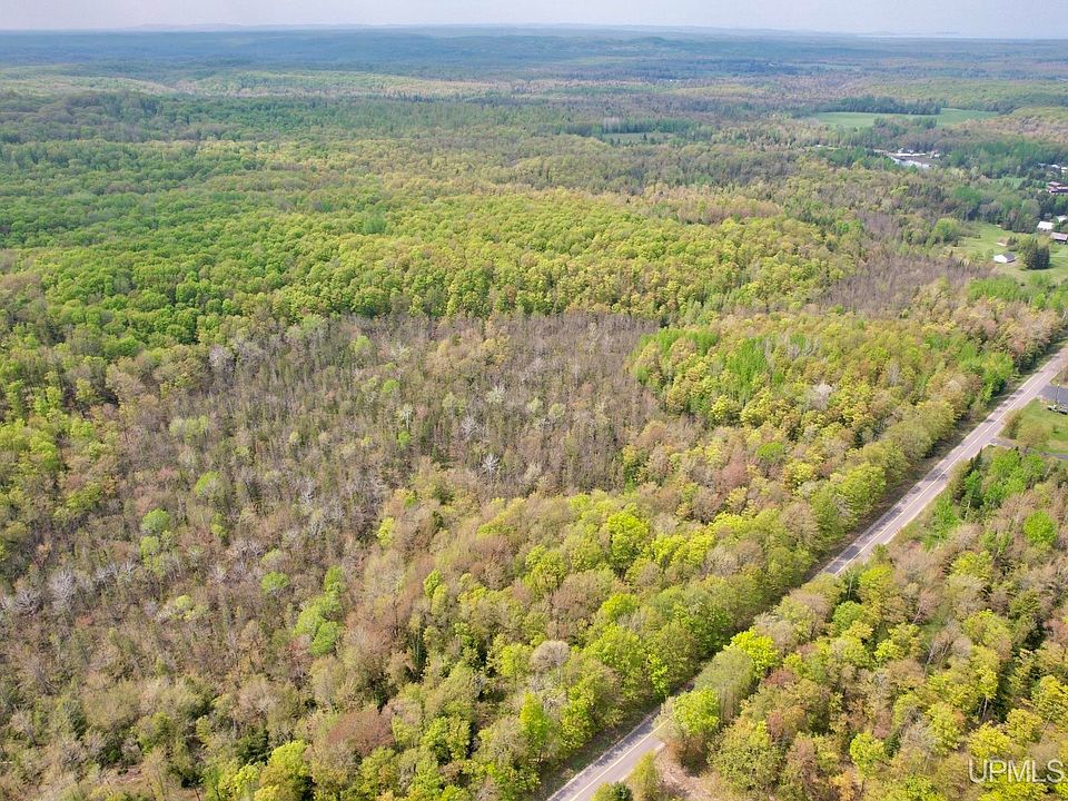 County Road 545 N, Skandia, MI 49885 Zillow