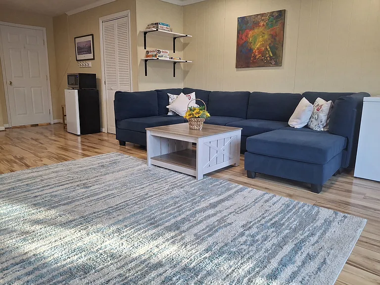 Lower level: additional living space/guest room/additional bedroom