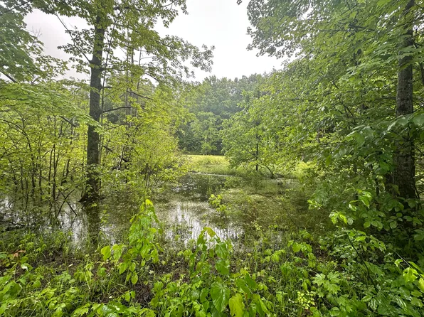 PARCEL 1 Tobias Rd, Elmira, MI 49730