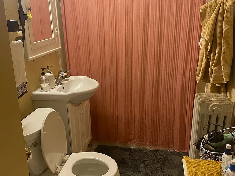 419 Chamberlain Ave — Photo 11