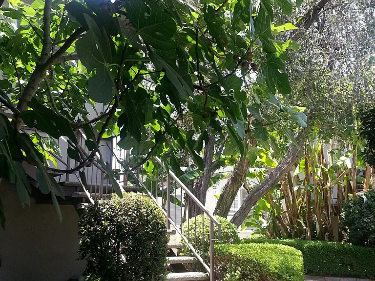Charming 1 & 2 Bedrooms on the Chandler Bike Path — Photo 1