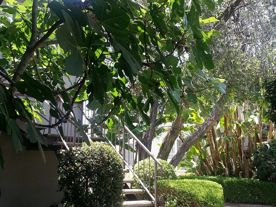 1st image of 3718 W Chandler Blvd #B