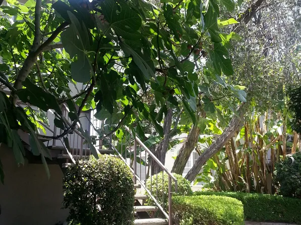 Charming 1 & 2 Bedrooms on the Chandler Bike Path