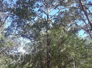 Peanut Dr, Webster, FL 33597