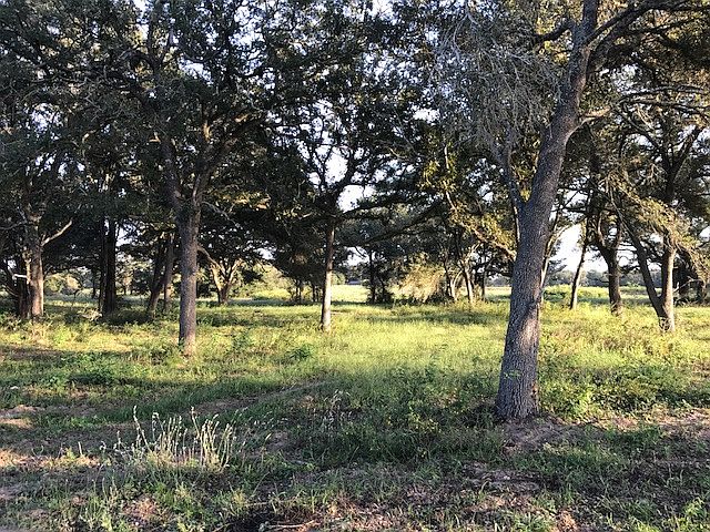 2nd image of 000 County Road 135