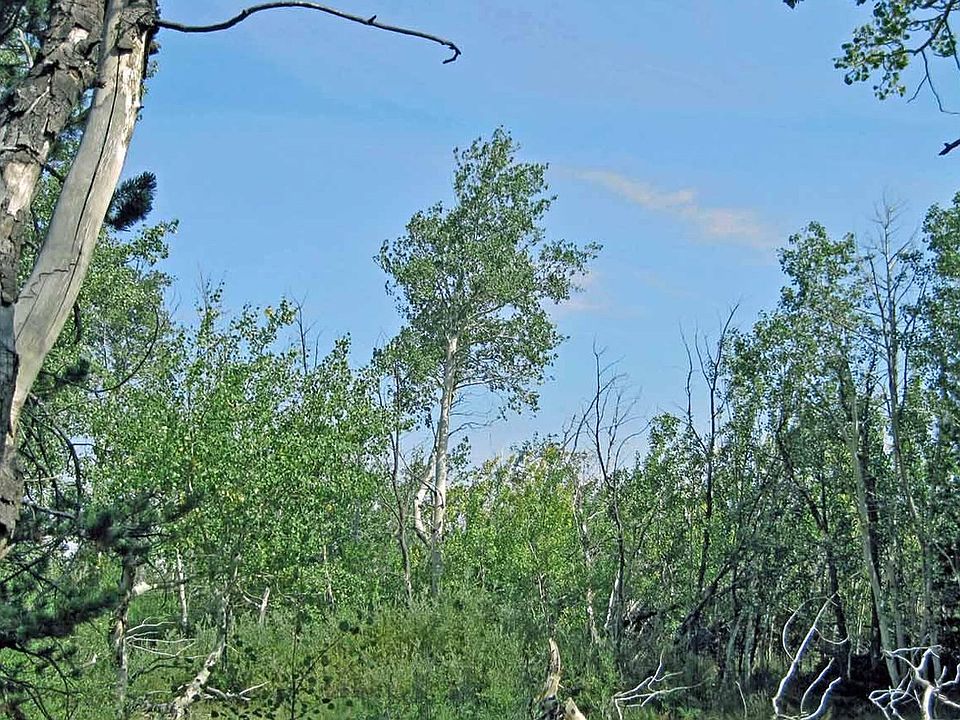 1st image of Wilderness Ranch Rd