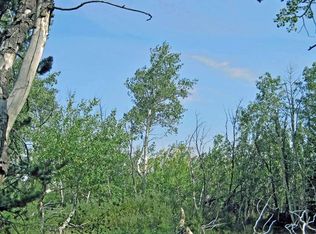 Wilderness Ranch Rd, Sand Creek Township, CO 82070