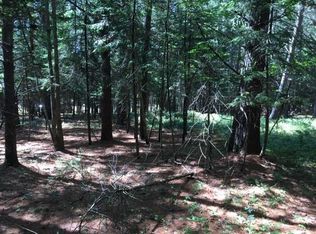 0 Kickerville Ln, Long Lake, NY 12847