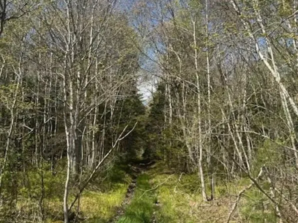 James St, Queens, NS B0J 1H0