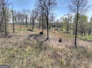 6 Arbor Creek Trl #6, Mineral Bluff, GA 30559