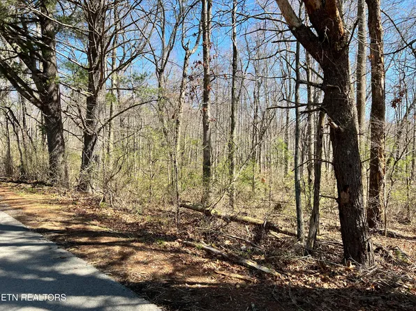 Beehive Ln, Crossville, TN 38555