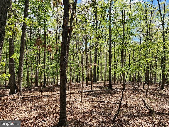 5th image of 5 Pine Grove Rd