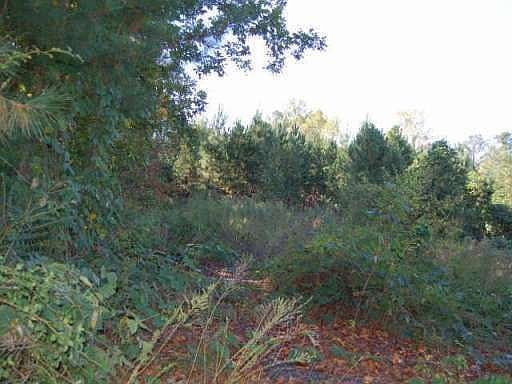 2nd image of 0 Lumpkin Campground Rd
