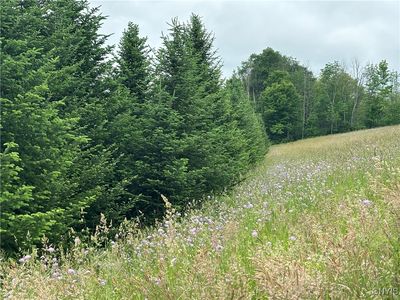McGraw Marathon Rd #1, Marathon, NY, 13803