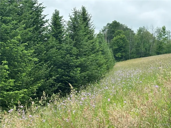 McGraw Marathon Rd #1, Marathon, NY 13803