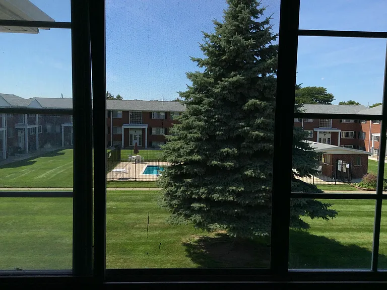 8260 Crestview Dr #4 — Photo 7