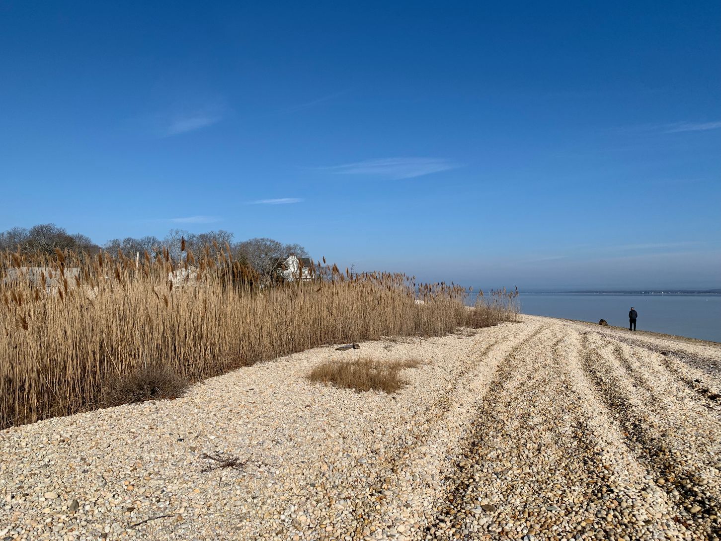  Circle Beach