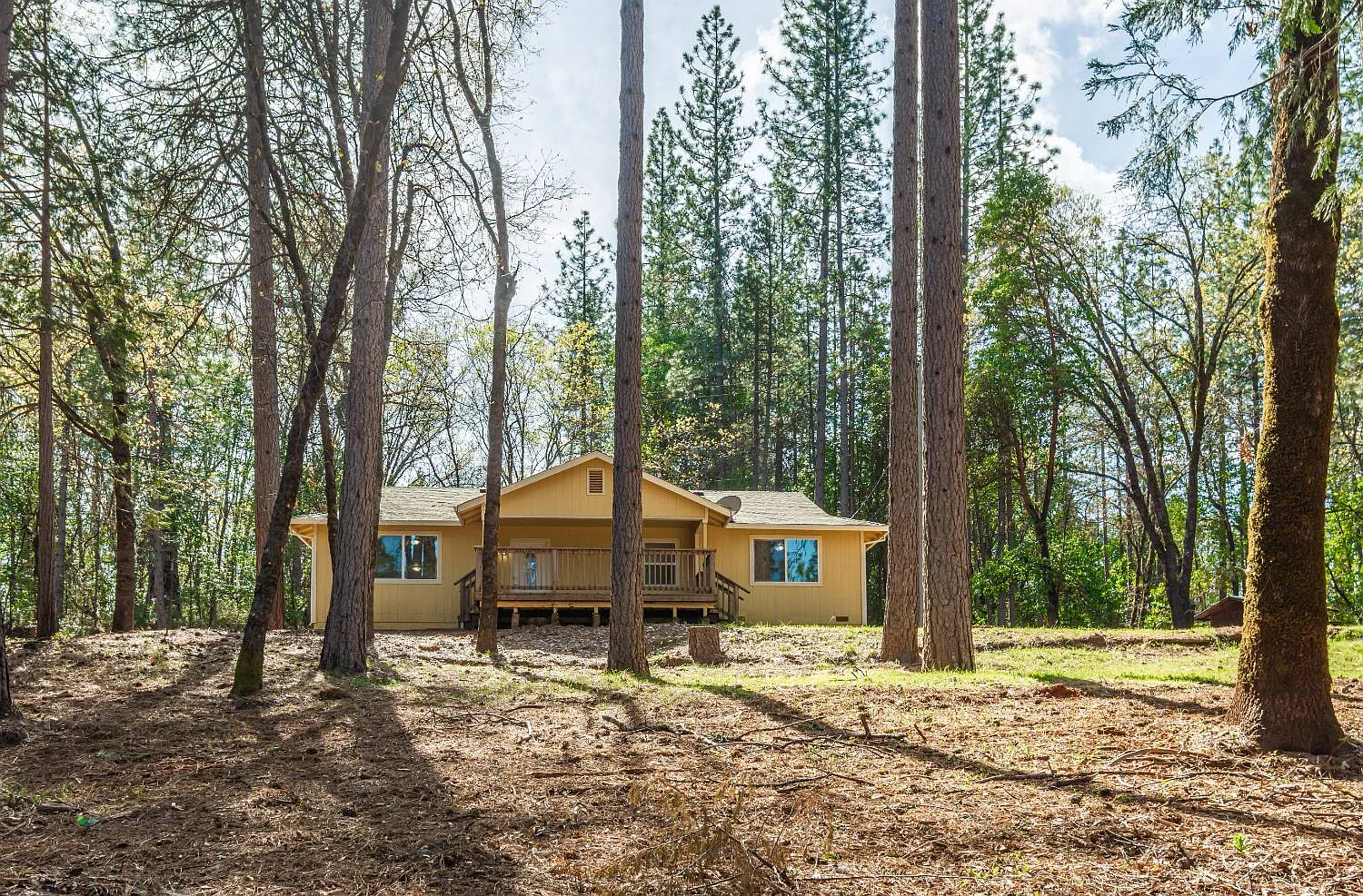 16116 Sycamore Ln photo 1