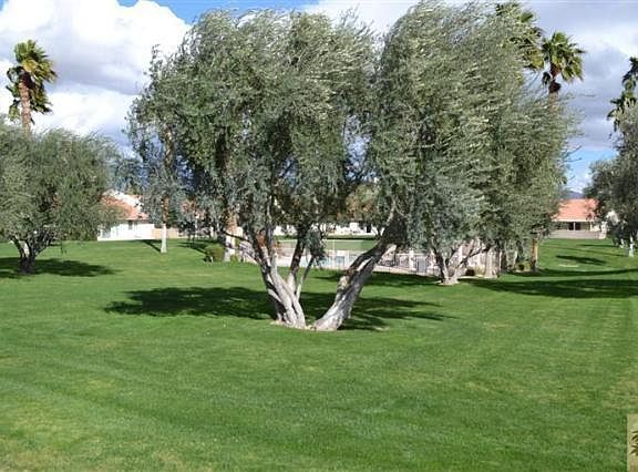 view from back patio