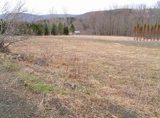 539 Hill Rd, Worcester, NY 12197