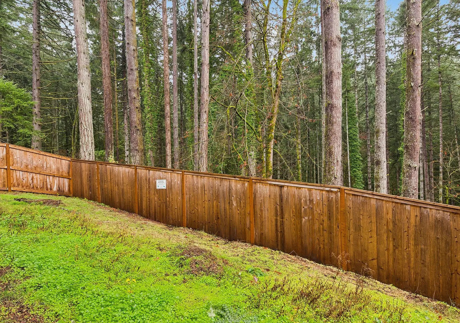 Beautiful Home on Cooper Mountain (Photos Pending!) — Photo 3