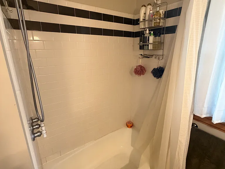 Shower with bathtub