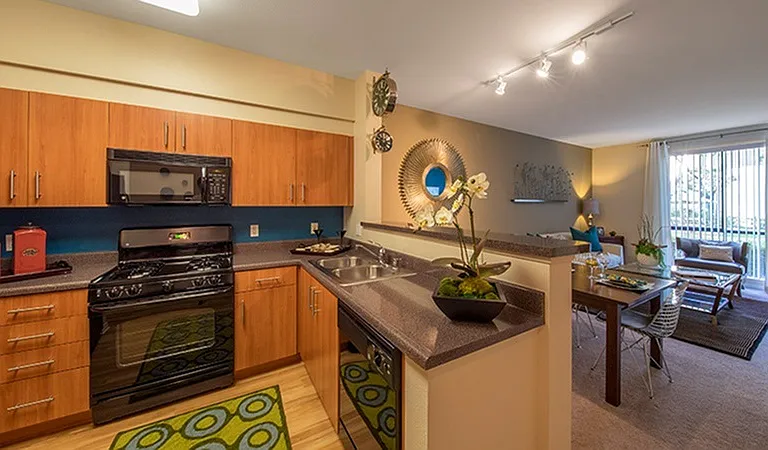 Kitchen + Living Room