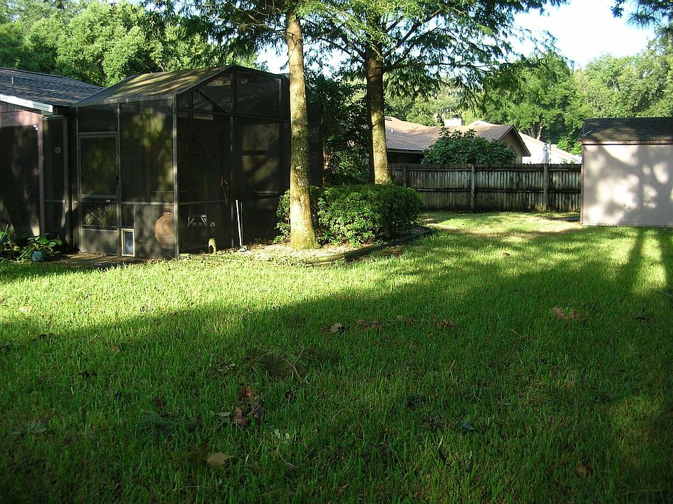 Back yard