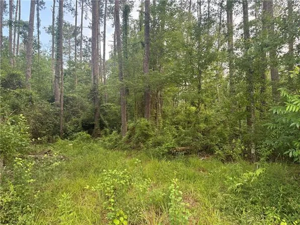 0 Russell Town Rd, Roseland, LA 70456