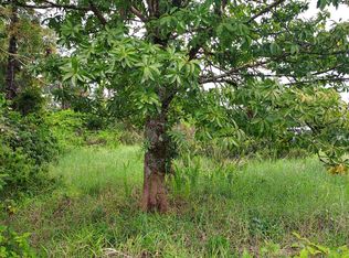 16-2138 Rainbow Dr LOT 68, Pahoa, HI 96778