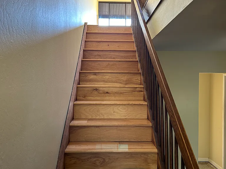 122 Tree Frog Ln — Photo 10