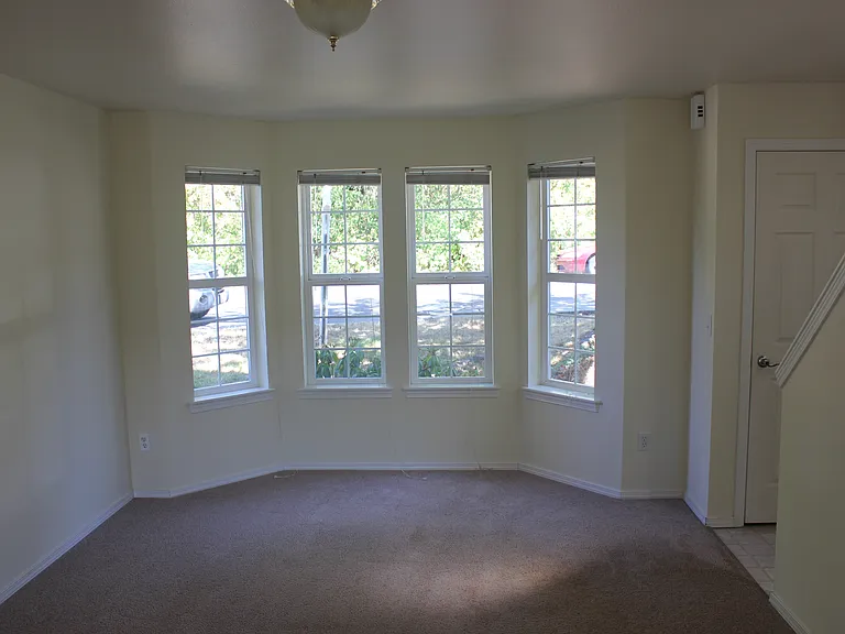 803 Blueberry Ln — Photo 8