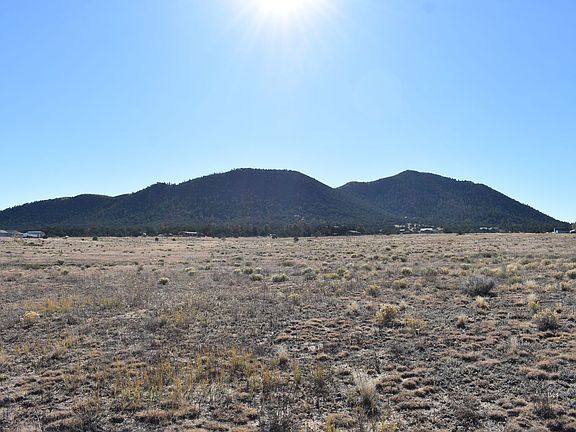 4th image of 532 Blazing Saddle Trl