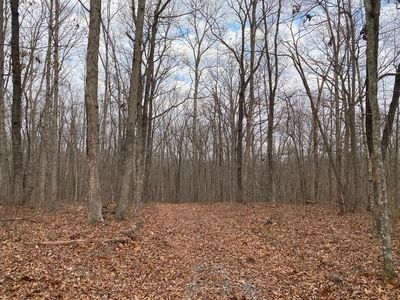 11 Green Rd, Dunlap, TN, 37327