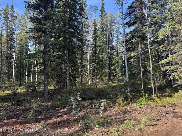 LOT 15 Drucke Miller Rd, Tok, AK 99780