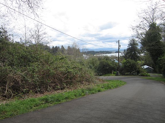 3rd image of Paific Street