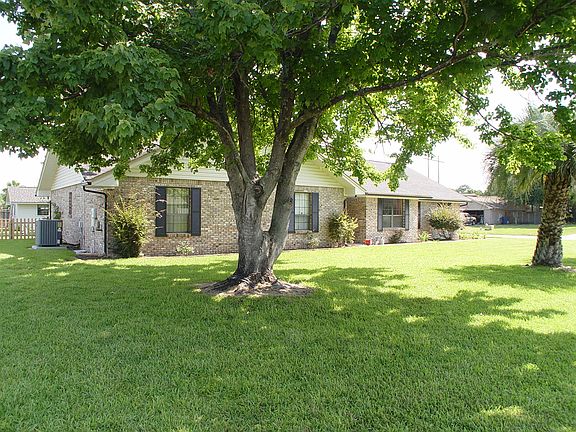 Very shady areas front yard