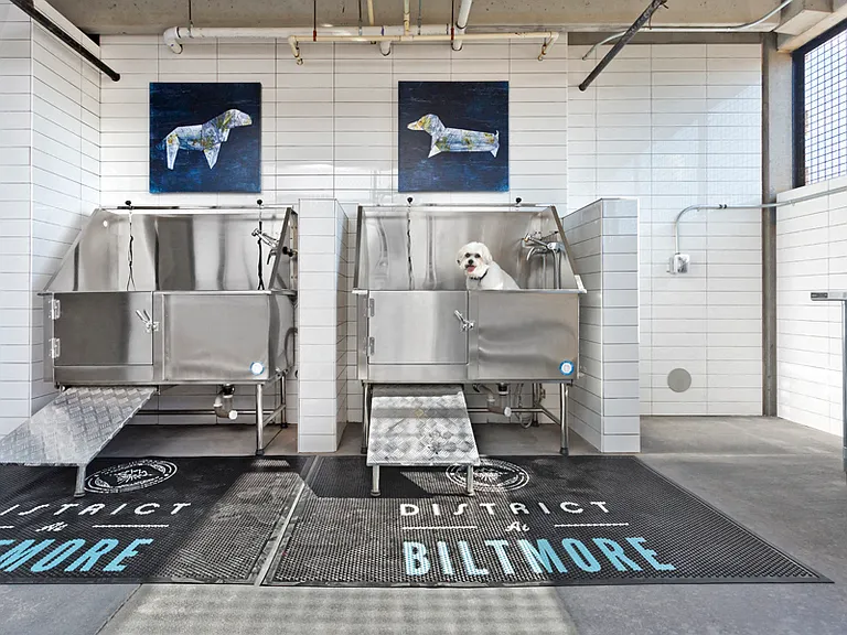 Dog wash