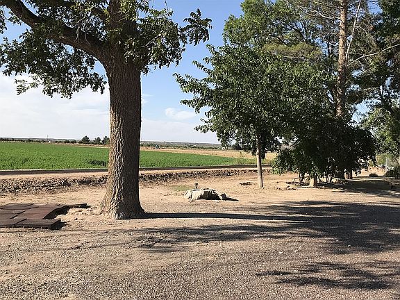 View of the farm acreage