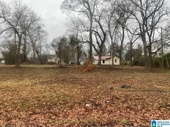 2108 Florida Ave Lot 5, Jasper, AL 35501