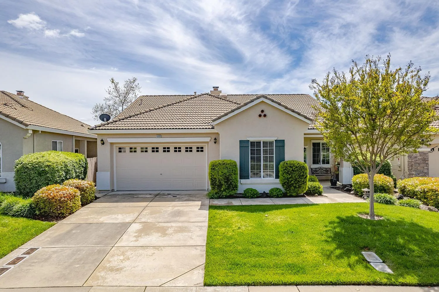 4008 Treeline Way photo 1