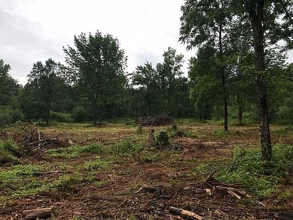 4th image of Sterling Dr