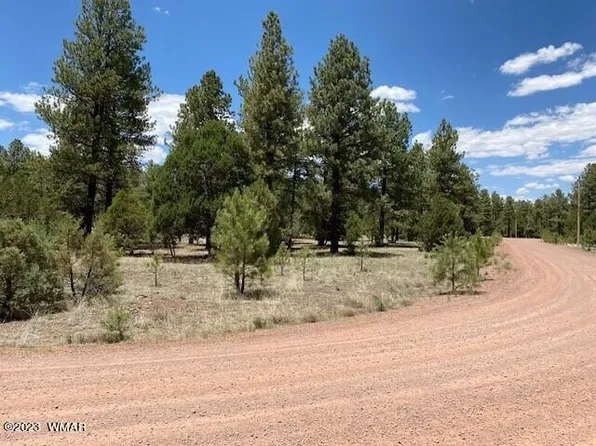 63 County Road 2224, Nutrioso, AZ 85932