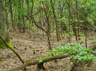 Minerva Ln #79-80-84, Sapphire, NC 28774